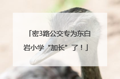 密3路公交专为东白岩小学“加长”了！